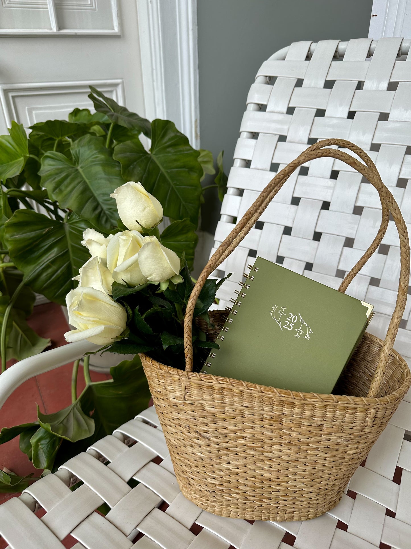 Agenda Day Dreaming - Imperfecta