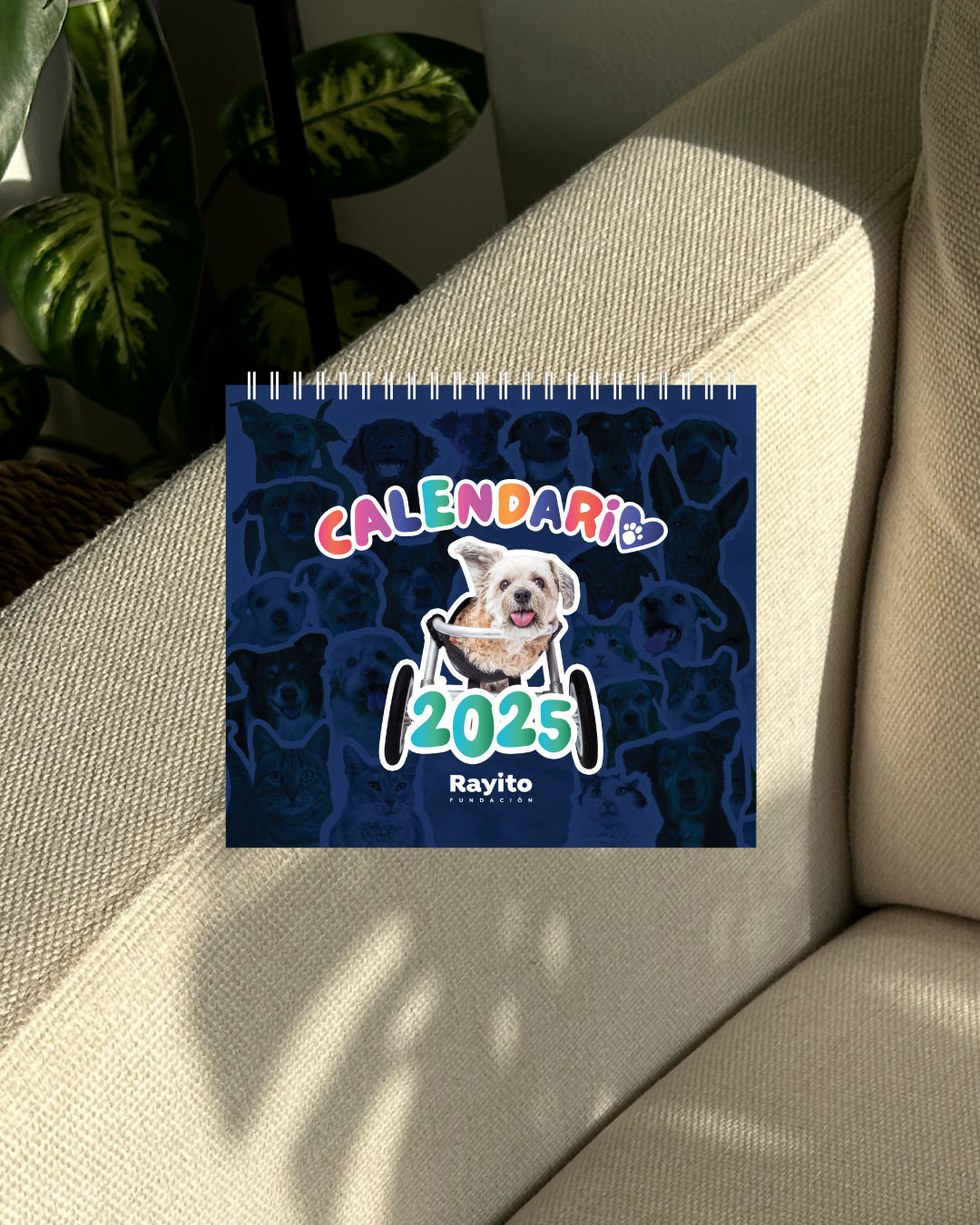 Calendario 2025 - Fundación Rayito