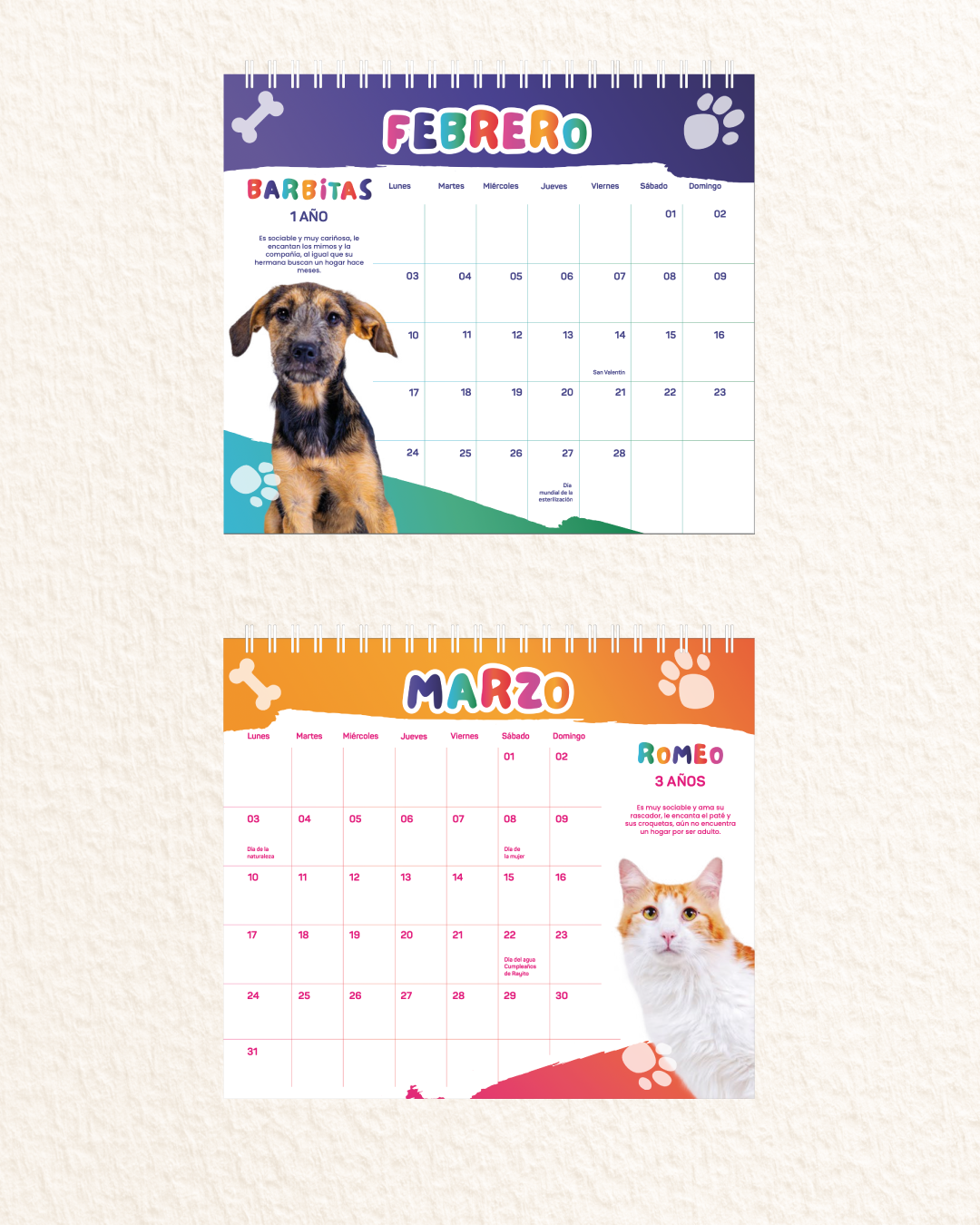 Calendario 2025 - Fundación Rayito