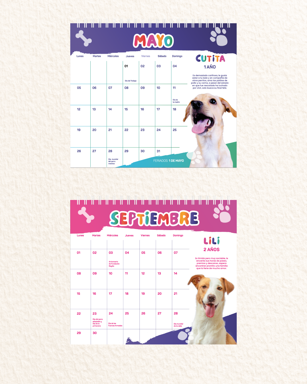 Calendario 2025 - Fundación Rayito