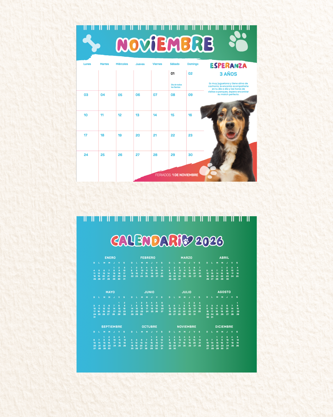 Calendario 2025 - Fundación Rayito