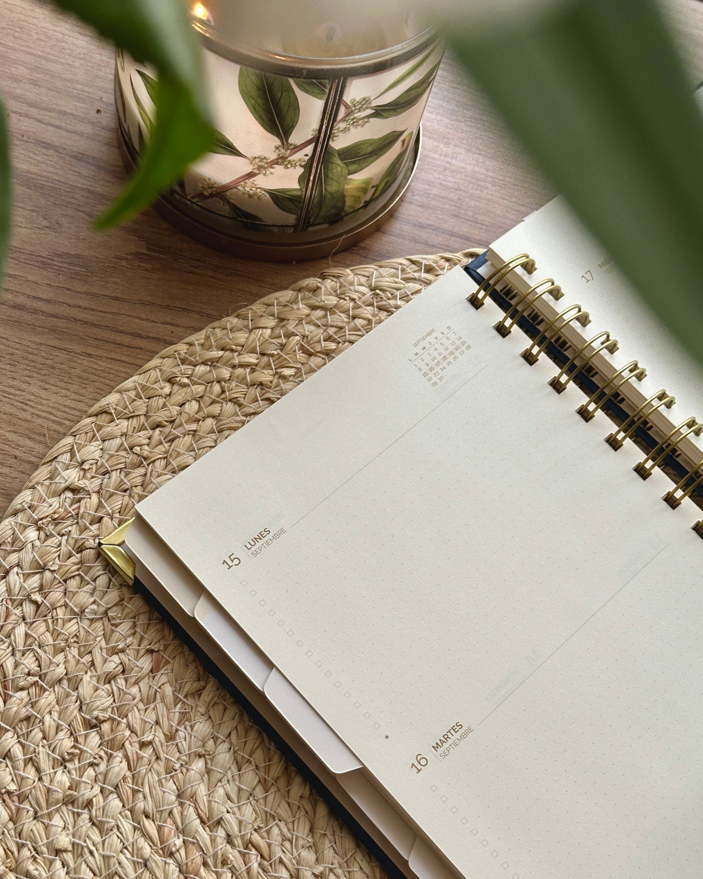 Agenda Day Dreaming - Imperfecta