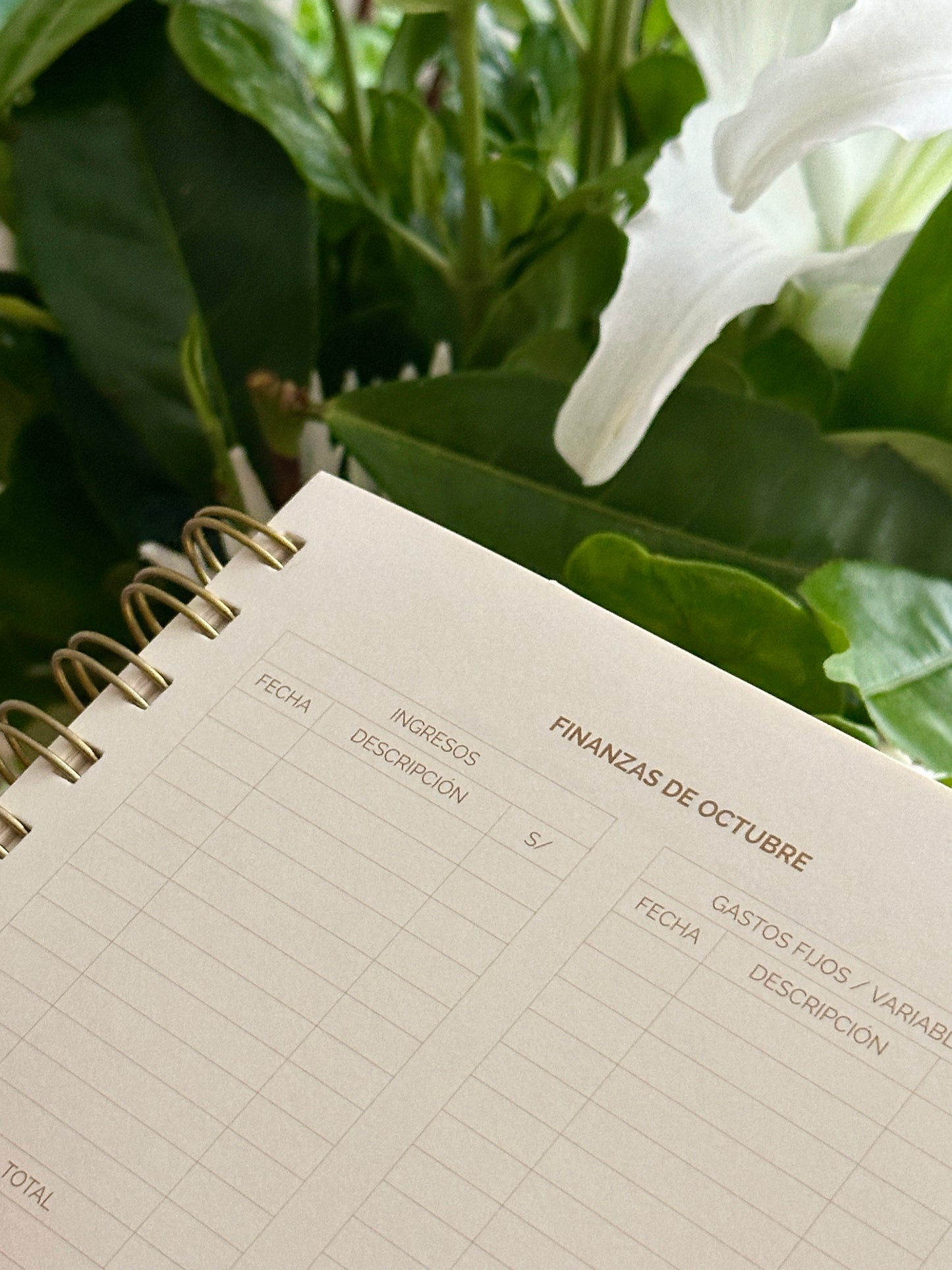 Agenda Day Dreaming - Imperfecta