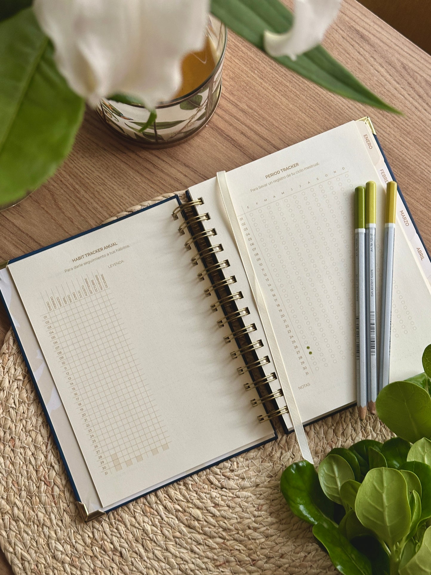 Agenda Day Dreaming - Imperfecta