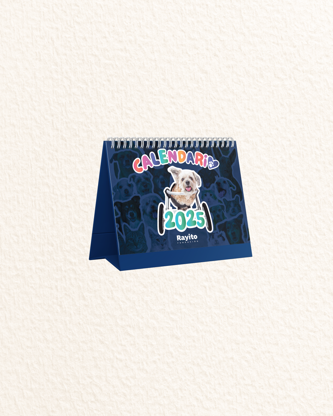 Calendario 2025 - Fundación Rayito